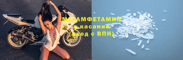 дмт Богданович