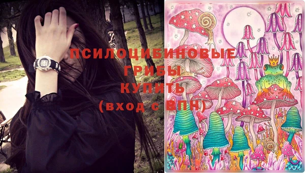 дмт Богданович