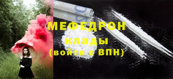 дмт Богданович