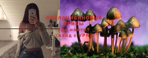 стаф Бугульма